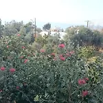 Maritsa's Roses Appartement Pomos
