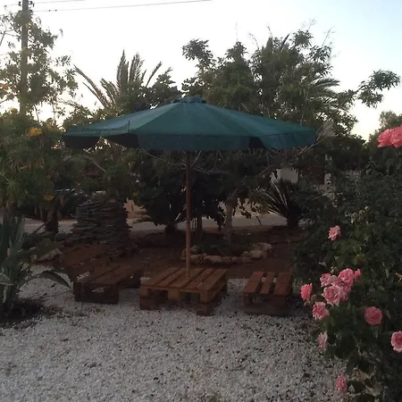 Maritsa's Roses Pomos