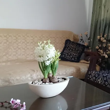 Apartament Maritsa's Roses