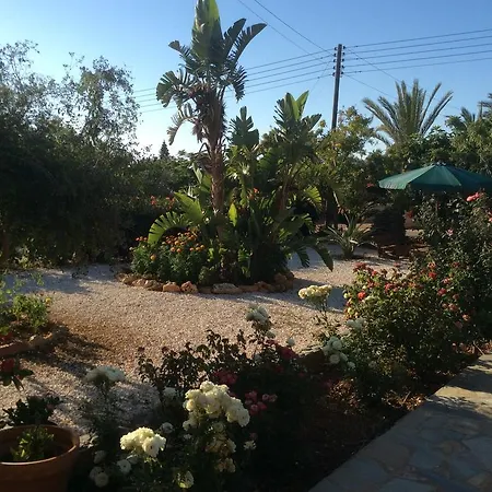 Maritsa's Roses Pomos