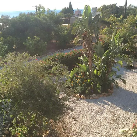 Maritsa's Roses * Pomos