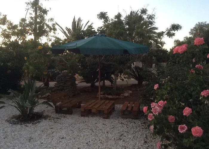 Maritsa's Roses פומוס