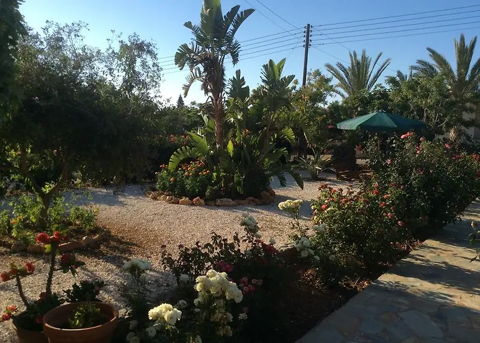 Maritsa's Roses Pomos