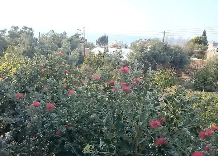 Maritsa's Roses דירה פומוס