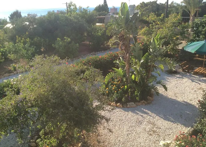 Maritsa's Roses * פומוס